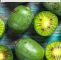 Ingwer Im Garten Das Beste Von Kiwibeeren Pflanzen Tipps Zum Anbau Der Mini Kiwi