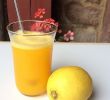 Ingwer Im Garten Elegant orangen Zitronen Limonade
