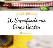 Ingwer Im Garten Inspirierend 10 Superfoods Aus Omas Garten