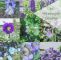 Insektenfreundlicher Garten Genial 9 & Mehr Blaue Stauden – Blaues Wunder Im Garten Auf 850 Hm