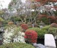 Japanische Gärten Gestalten Inspirierende Fotos Und Gartenpläne Das Beste Von Anleitung Japanischen Garten Selbst Gestalten Wir Klären