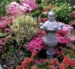 Japanische Gärten Gestalten Inspirierende Fotos Und Gartenpläne Das Beste Von Japanischer Garten Tipps Zum Gestalten Und Anlegen Das Haus