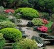 Japanische Gärten Gestalten Inspirierende Fotos Und Gartenpläne Einzigartig 16 Schritte Japanischen Garten Gestalten Pflanzenarten