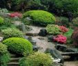 Japanische Gärten Gestalten Inspirierende Fotos Und Gartenpläne Einzigartig 16 Schritte Japanischen Garten Gestalten Pflanzenarten