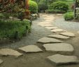 Japanische Gärten Gestalten Inspirierende Fotos Und Gartenpläne Einzigartig Japanischer Garten Design Ideen Für Nuance Schönheit