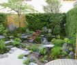 Japanische Gärten Gestalten Inspirierende Fotos Und Gartenpläne Einzigartig Kleiner Garten Ganz Moos Groß asiatisch Garten