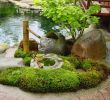 Japanische Gärten Gestalten Inspirierende Fotos Und Gartenpläne Inspirierend Ein Japanischer Garten Gestalten Praktische Tipps Und Tricks