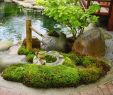 Japanische Gärten Gestalten Inspirierende Fotos Und Gartenpläne Inspirierend Ein Japanischer Garten Gestalten Praktische Tipps Und Tricks