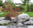 Japanische Gärten Gestalten Inspirierende Fotos Und Gartenpläne Luxus Japangarten Mit Modernen Elementen