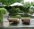 Japanische Gärten Gestalten Inspirierende Fotos Und Gartenpläne Neu Japan Garten Kultur Plant Und Gestaltet Japanische Gärten
