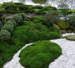 Japanische Gärten Gestalten Inspirierende Fotos Und Gartenpläne Reizend "moos Moose In Japanischen Gärten Als Wichtigste