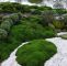 Japanische Gärten Gestalten Inspirierende Fotos Und Gartenpläne Reizend "moos Moose In Japanischen Gärten Als Wichtigste