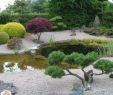 Japanische Gärten Gestalten Inspirierende Fotos Und Gartenpläne Schön Japanische Gärten Erstaunliche Fotos Archzine