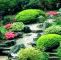 Japanische Gärten Gestalten Inspirierende Fotos Und Gartenpläne Schön Japanischer Garten Selbst Anlegen Selber Machen Westpark