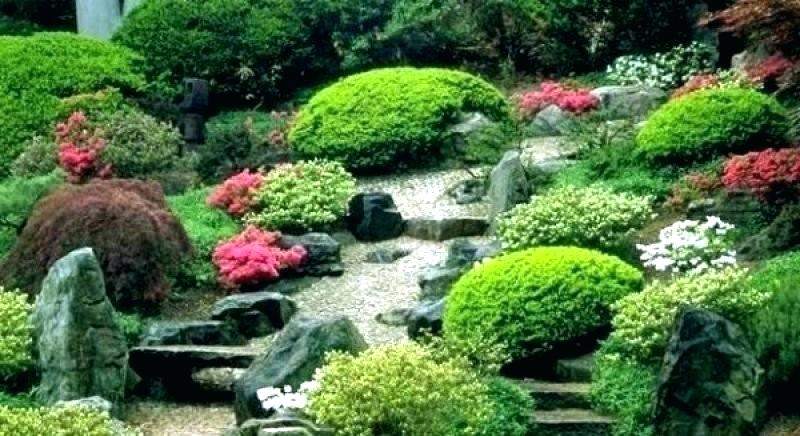 Japanischer Garten Selbst Anlegen - Zen Garten Anlegen So Schaffen Sie