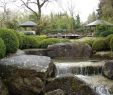 Japanischer Garten Anlegen Das Beste Von Botanischer Garten Augsburg –