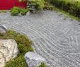 Japanischer Garten Anlegen Frisch Pin On Garten Deko