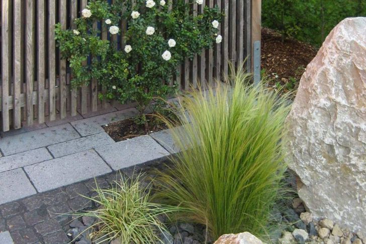 Japanischer Garten Anlegen Inspirierend Pflegeleichter Vorgarten Mit Großen Steinen Und Gräsern