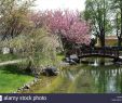 Japanischer Garten Bad Langensalza Frisch Deutsch Japanisch Stockfotos & Deutsch Japanisch Bilder Alamy