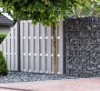 Japanischer Garten Berlin Reizend Zimmerpflanzen Groß Modern — Temobardz Home Blog