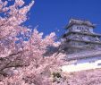 Japanischer Garten Frankfurt Reizend Klassische Japanreiseroute Japan Travel