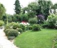 Japanischer Garten Hamburg Einzigartig Gartengestaltung Ideen Bilder — Temobardz Home Blog