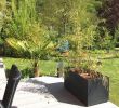 Japanischer Garten Hamburg Elegant Sichtschutz Garten Pflanzen — Temobardz Home Blog