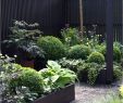 Japanischer Garten Ideen Genial Alten Garten Neu Anlegen — Temobardz Home Blog