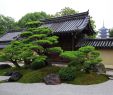Japanischer Zen Garten Frisch Zahrada Boha StarÅ¡­ch A PÄtpodlaÅ¾n­ Pagoda