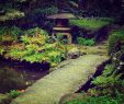 Japanischer Zen Garten Genial Pin Von A B Auf Japanese Courtyard Garden