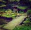 Japanischer Zen Garten Genial Pin Von A B Auf Japanese Courtyard Garden