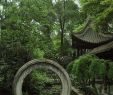 Japanischer Zen Garten Reizend Gardener