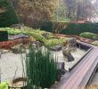 Japanischer Zen Garten Reizend Pin Von A B Auf Zen Rock Garden