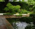 Japanischer Zen Garten Schön sthetik Und Eleganz Das ist Japanische Gartenkunst