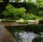 Japanischer Zen Garten Schön sthetik Und Eleganz Das ist Japanische Gartenkunst