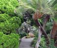 Jesus Im Garten Gethsemane Genial Besuch Im Meditationsgarten In Encinitas San Diego