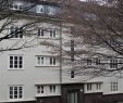 Kaiser Garten Troisdorf Luxus Datei Wuppertal Im Springen 2 –