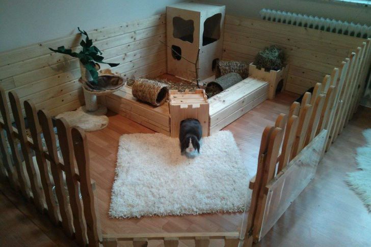 Kaninchen Im Garten Luxus Rabbit Room for Inside Tier Und Garten