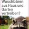 Katzen Vertreiben Garten Schön Die 55 Besten Bilder Von Hund Katze Maus – Alles Rund Um