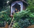 Kinder Holzhaus Garten Frisch 30 Awesome Frontyard Garden Design Ideas for Kids