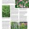 Kinderlärm Im Garten Genial Gartenratgeber 03 2018 Pages 1 16 Text Version