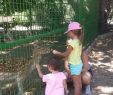 Kino Zoologischer Garten Luxus the Zoological Gardens Tunis Aktuelle 2020 Lohnt Es
