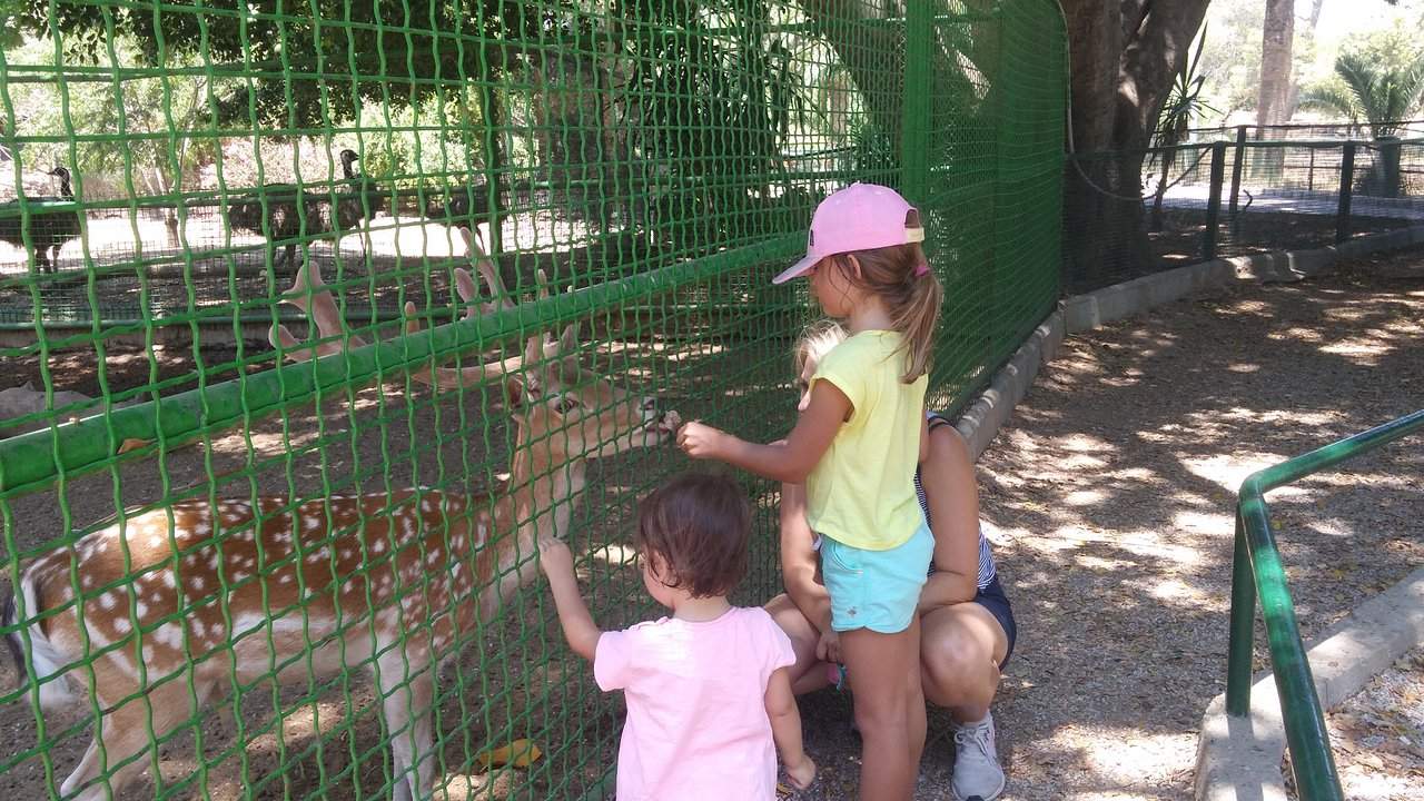 the zoological gardens