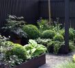 Kleine Gärten Gestalten Einzigartig Kleine Gärten Gestalten Reihenhaus — Temobardz Home Blog