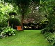 Kleine Gärten Schön Gestalten Luxus Gartengestaltung Kleine Garten