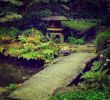Kleiner Japanischer Garten Das Beste Von Pin Von A B Auf Japanese Courtyard Garden