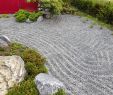 Kleiner Japanischer Garten Elegant Alten Garten Neu Anlegen — Temobardz Home Blog