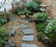 Kleiner Japanischer Garten Inspirierend Pin Von Raymund Schmelzer Auf Rs Mein Garten