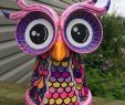 Kot Im Garten Von Welchem Tier Neu Clay Pot Terra Cotta Owl