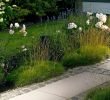 Kugelleuchte Garten 60 Cm Inspirierend Das Plus Für Ihren Garten Unsere 10 Expertentipps Für Gutes